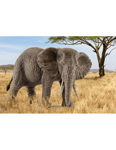 schleich WILD LIFE 14761 action figure giocattolo