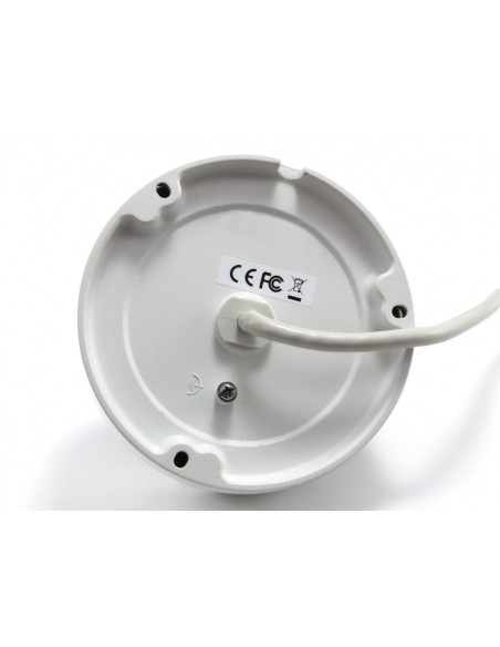 LevelOne FCS-3404 telecamera di sorveglianza Cupola Telecamera di sicurezza IP Interno e esterno 3200 x 1800 Pixel Soffitto