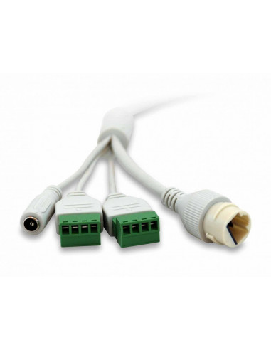 LevelOne FCS-3404 telecamera di sorveglianza Cupola Telecamera di sicurezza IP Interno e esterno 3200 x 1800 Pixel Soffitto