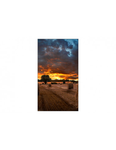 Samsung VM46B-U LCD Interno