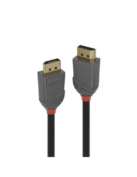 Lindy 36481 cavo DisplayPort 1 m Nero, Grigio