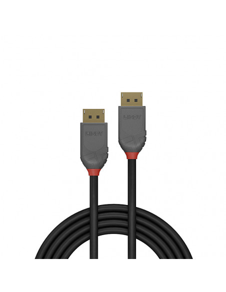 Lindy 36481 cavo DisplayPort 1 m Nero, Grigio