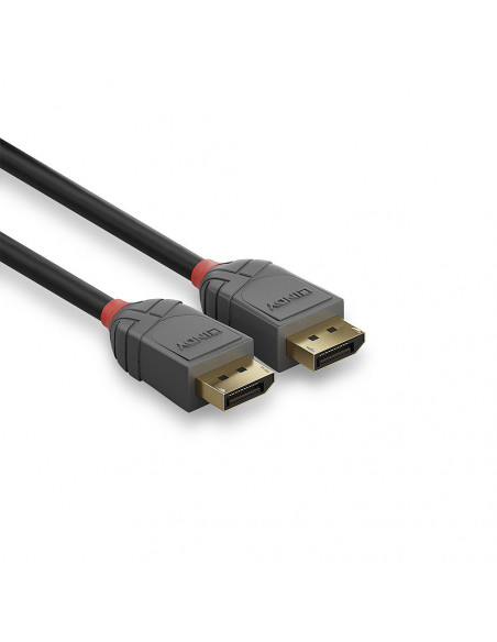 Lindy 36481 cavo DisplayPort 1 m Nero, Grigio