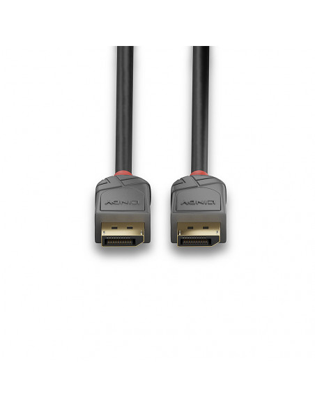 Lindy 36481 cavo DisplayPort 1 m Nero, Grigio