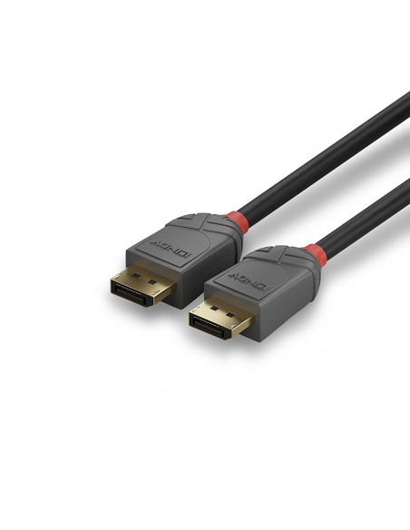 Lindy 36481 cavo DisplayPort 1 m Nero, Grigio