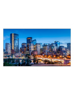 Samsung VM55C-E LCD Interno