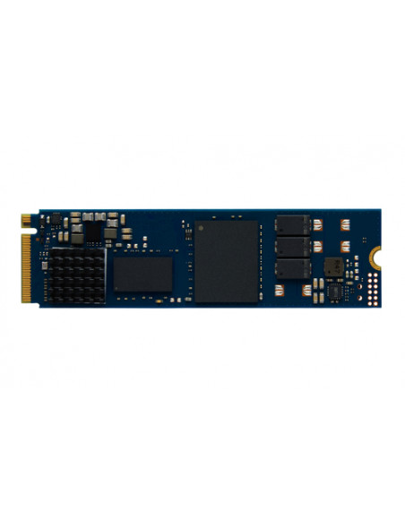 Kingston Technology 240G DC2000B PCIe 4.0 M.2 2280 Enterprise SSD