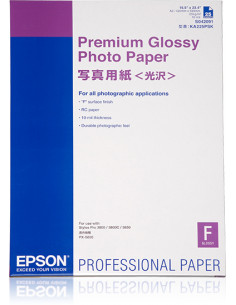 Epson Premium Glossy Photo Paper