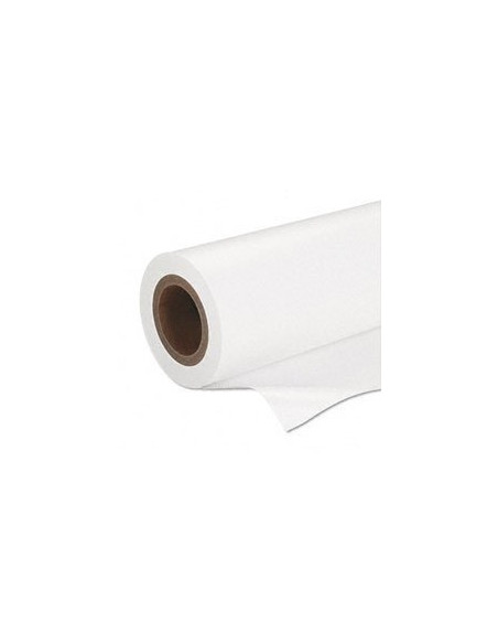 Epson Premium SemiGloss Photo Paper(170), in rotoli da 41, 91 cm x 30, 48m (16, 5" x 100').