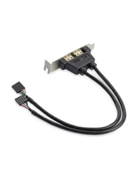 StarTech.com Adattatore piastra slot basso profilo 2 porte USB A femmina
