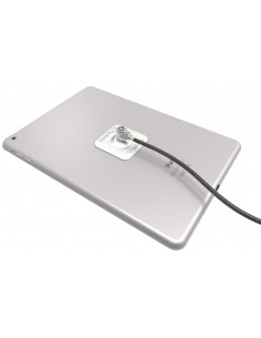 Compulocks Universal Tablet Lock cavo di sicurezza Acciaio inox