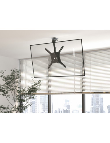 Equip Staffa per TV a soffitto da 23” a 55”