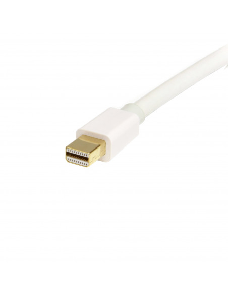 StarTech.com Cavo Video da Mini DisplayPort a DisplayPort 1.2 da 2m - Cavo Adattatore 4K x 2K UHD Mini DisplayPort a DisplayPort