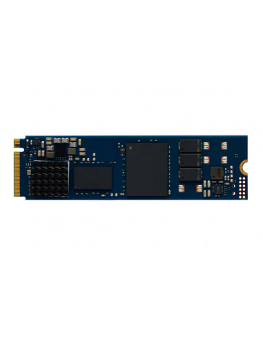 Kingston Technology 480G DC2000B PCIe 4.0 M.2 2280 Enterprise SSD