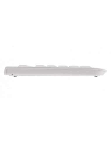 CHERRY KC 1000 tastiera Universale USB QWERTY Inglese UK Grigio