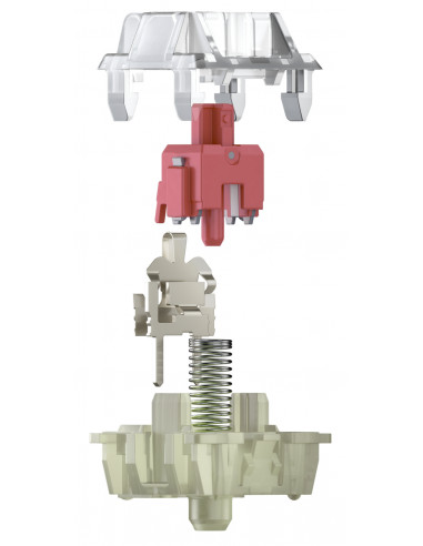 CHERRY G80-3000N RGB TKL tastiera Universale USB QWERTY US International Nero