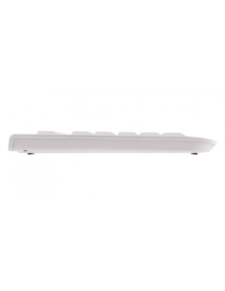 CHERRY KC 1000 tastiera Universale USB QWERTY Inglese US Grigio