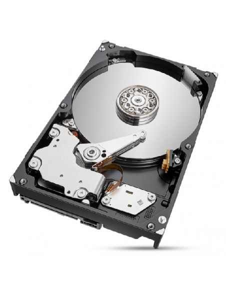 Seagate IronWolf Pro ST2000NT001 disco rigido interno 2 TB 7200 Giri/min 256 MB 3.5"