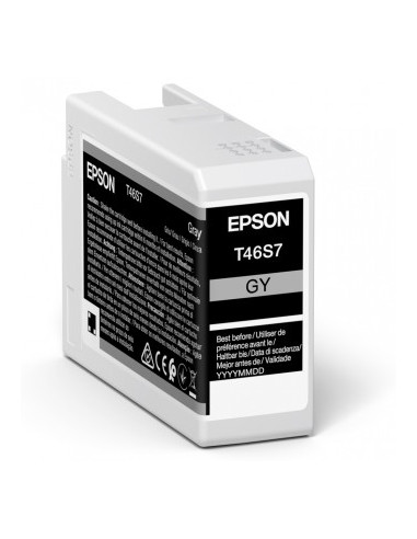 Epson UltraChrome Pro cartuccia d'inchiostro 1 pz Originale Grigio