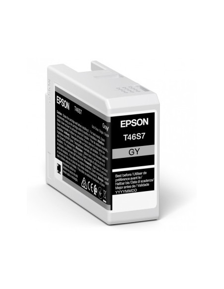 Epson UltraChrome Pro cartuccia d'inchiostro 1 pz Originale Grigio