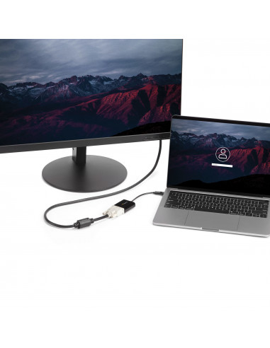 StarTech.com Adattatore USB-C a DVI - Convertitore video USB Type-C a DVI