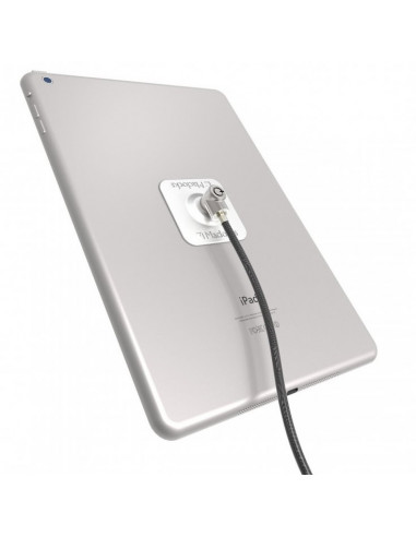 Compulocks Universal Tablet Lock cavo di sicurezza Acciaio inox