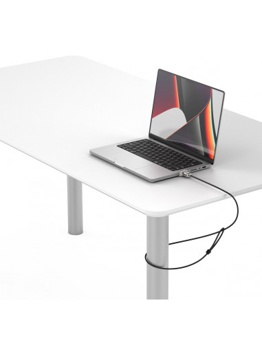 Compulocks MBPR14LDG01 cavo di sicurezza Argento