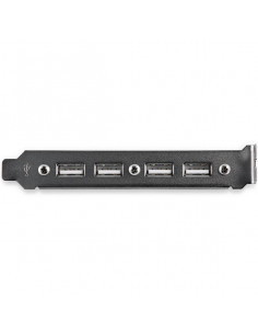 StarTech.com Adattatore piastra slot USB A femmina 4 porte 2