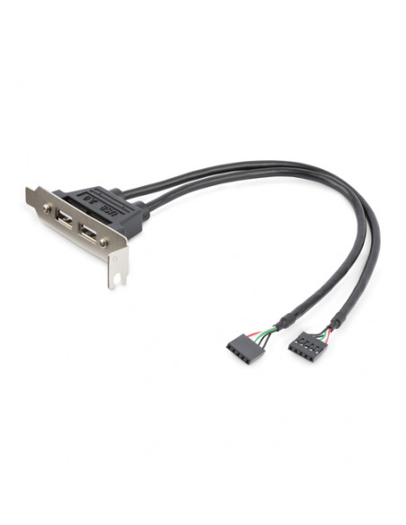 StarTech.com Adattatore piastra slot basso profilo 2 porte USB A femmina