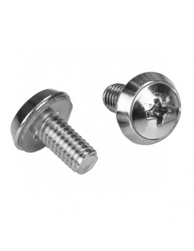 StarTech.com Confezione da 100 viti di fissaggio M6 per armadi server rack