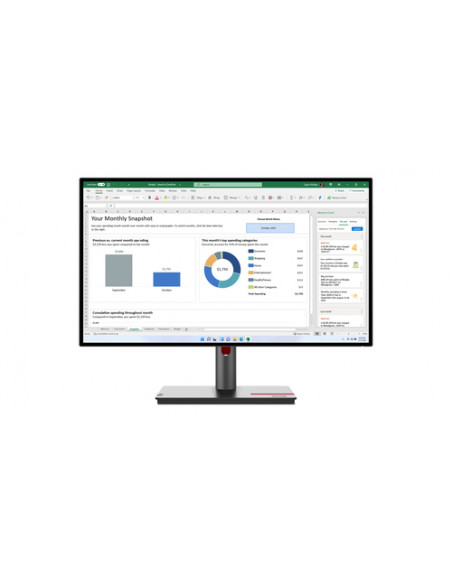 Lenovo ThinkVision P27h-30 LED display 68,6 cm (27") 2560 x 1440 Pixel Quad HD LCD Nero