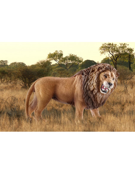schleich WILD LIFE 14726 action figure giocattolo