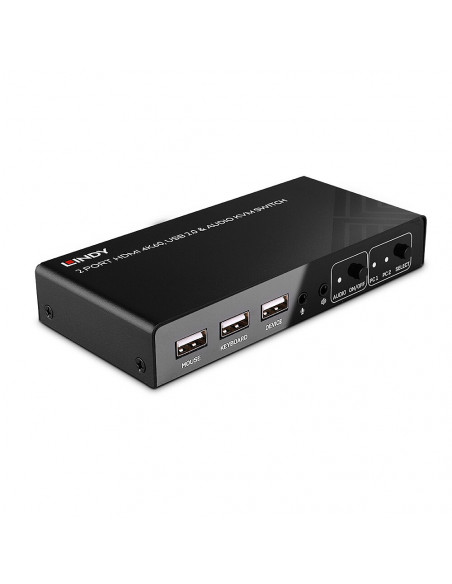 Lindy 32809 switch per keyboard-video-mouse (kvm) Nero