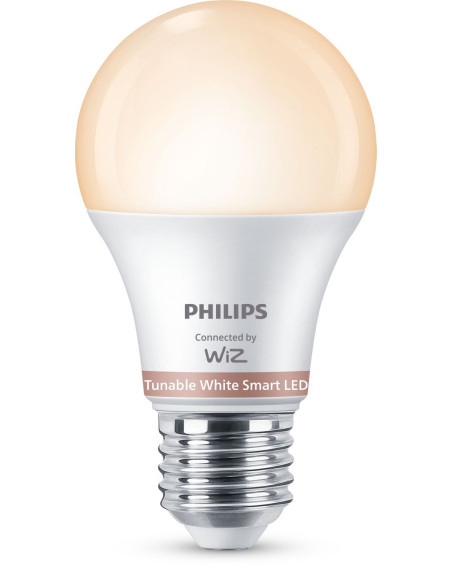 Philips Lampadina 60 W A60 E27