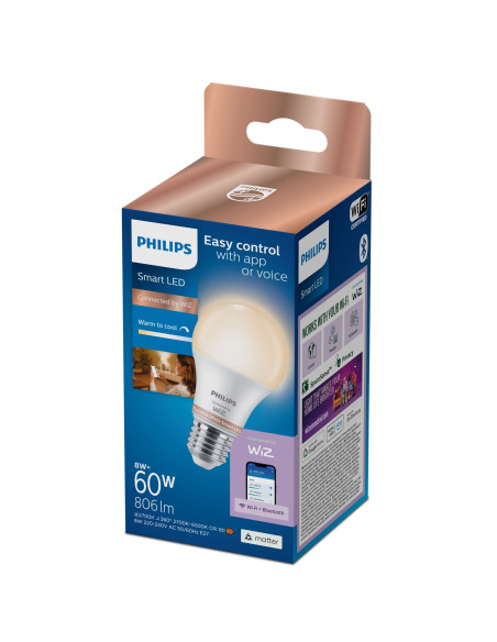 Philips Lampadina 60 W A60 E27