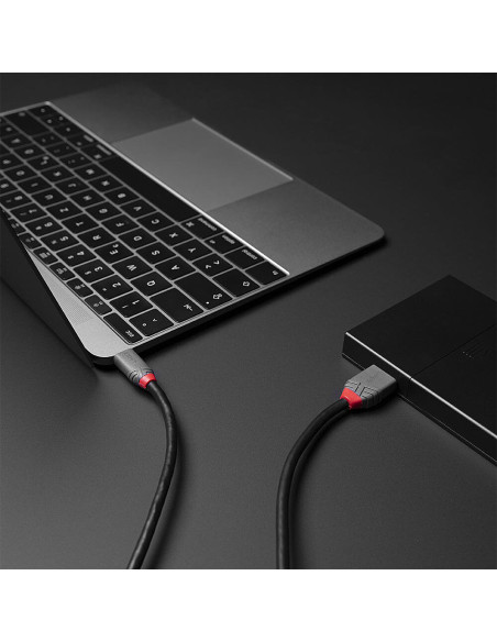Lindy 36622 cavo USB USB 3.2 Gen 1 (3.1 Gen 1) 2 m USB C Micro-USB B Nero