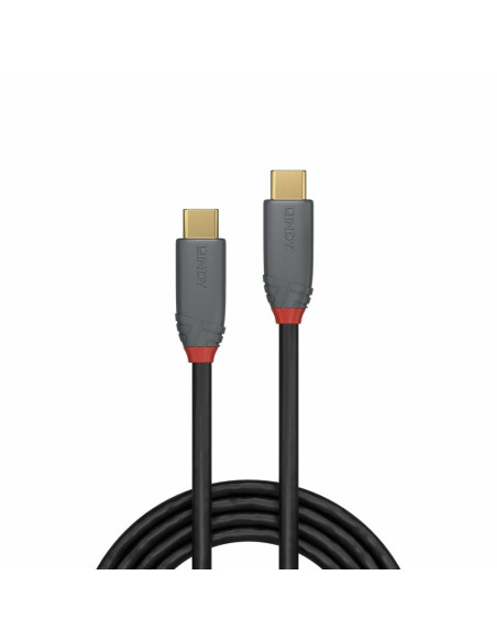 Lindy 36903 cavo USB USB 3.2 Gen 2 (3.1 Gen 2) 2 m USB C Nero