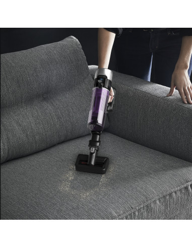 Rowenta RH2037 Aspirapolvere a bastone 2 in 1 Batteria Secco Senza sacchetto 0,4 L 250 W Nero, Viola