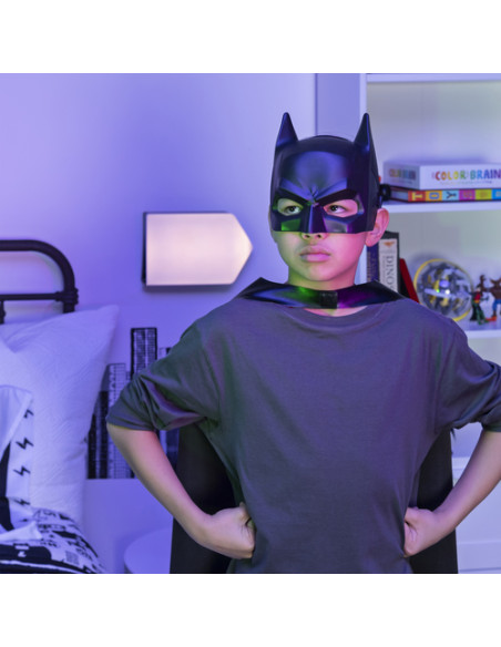 DC Comics Batman