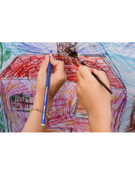 STABILO Aquacolor Multicolore 24 pz