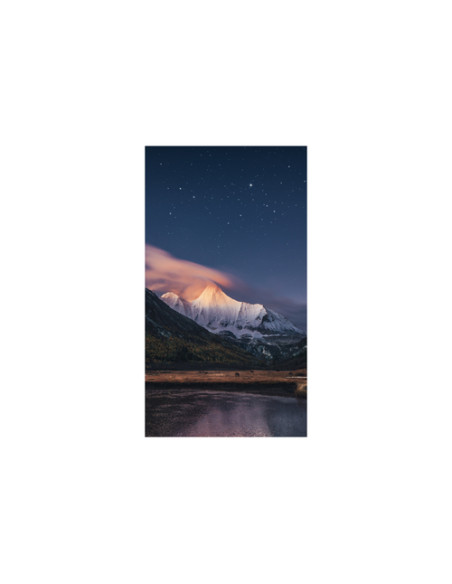 Samsung VH55R-R LCD Interno
