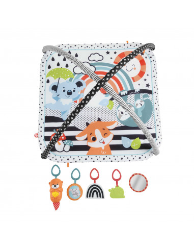 Fisher-Price HBP41 palestra per bambino e tappeto di gioco Multicolore Palestrina a tappeto per bambino