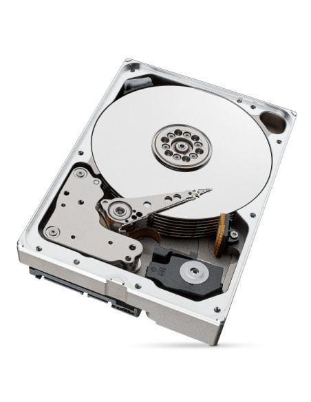 Seagate IronWolf Pro ST10000NT001 disco rigido interno 10 TB 7200 Giri/min 256 MB 3.5" Serial ATA III