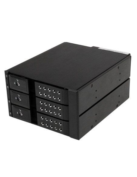 StarTech.com Scheda backplane per rack portatili hot-swap trayless in alluminio 3 alloggiamenti per SAS II/SATA III 3,5"- HDD 6 