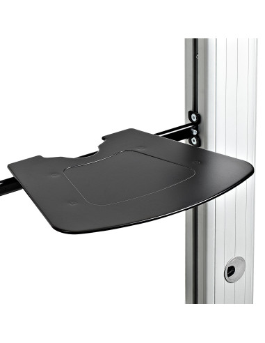 StarTech.com STNDMTVDUO Supporto TV a parete 152,4 cm (60") Nero, Argento