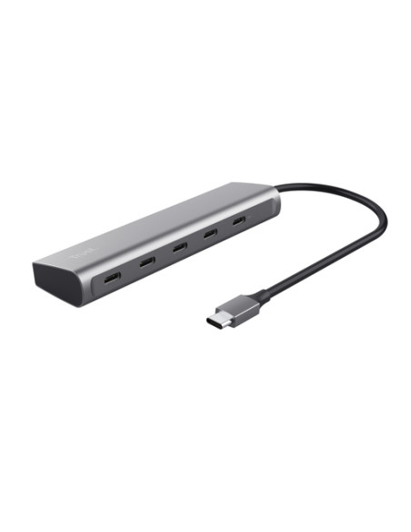 Trust Halyx USB 3.2 Gen 1 (3.1 Gen 1) Type-C Argento