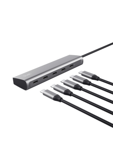 Trust Halyx USB 3.2 Gen 1 (3.1 Gen 1) Type-C Argento