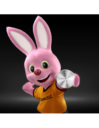Duracell Elettronics 2016 B2 2pz