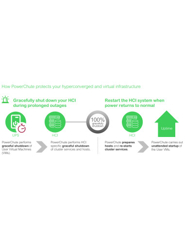 APC SWPCNS5Y-DIGI licenza per software/aggiornamento Inglese 5 anno/i