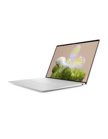 DELL XPS 13 9350 Intel Core Ultra 7 258V Computer portatile 34 cm (13.4") Full HD+ 32 GB LPDDR5x-SDRAM 1 TB SSD Wi-Fi 7 (802.11b